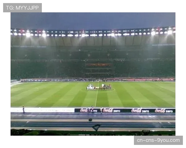 柏林赫塔主场奥林匹克体育场启动新一轮大型翻修工程